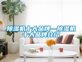 企業新聞除濕機十大品牌—除濕機十大品牌介紹