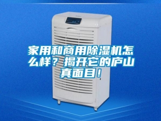 常見問題家用和商用除濕機怎么樣？揭開它的廬山真面目！
