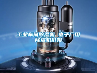 常見問題工業車間除濕機 電子廠用除濕機價格