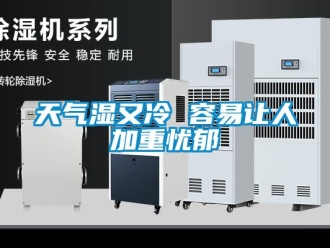 知識百科天氣濕又冷 容易讓人加重憂郁