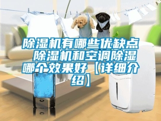 行業新聞除濕機有哪些優缺點 除濕機和空調除濕哪個效果好【詳細介紹】