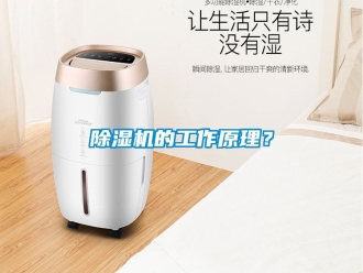 企業(yè)新聞除濕機(jī)的工作原理？