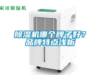 企業新聞除濕機哪個牌子好？品牌特點淺析