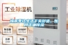 梅雨季讓生活干爽舒適，如何正確除濕