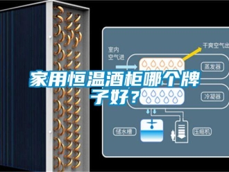 知識(shí)百科家用恒溫酒柜哪個(gè)牌子好？