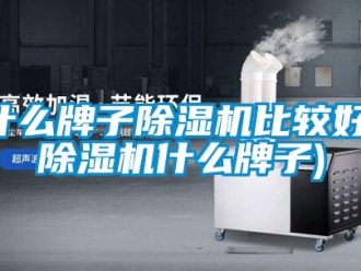 行業(yè)新聞什么牌子除濕機(jī)比較好(除濕機(jī)什么牌子)