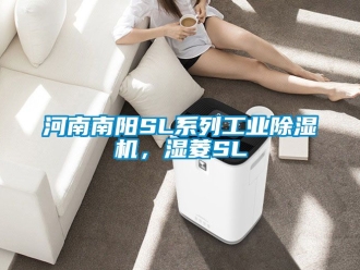 常見問題河南南陽SL系列工業除濕機，濕菱SL