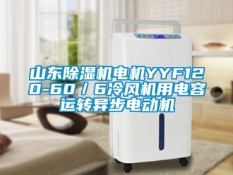 行業新聞山東除濕機電機YYF120-60／6冷風機用電容運轉異步電動機