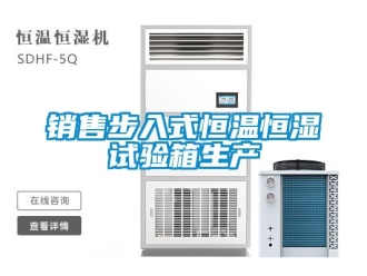 知識百科銷售步入式恒溫恒濕試驗箱生產