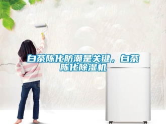 常見問題白茶陳化防潮是關鍵，白茶陳化除濕機