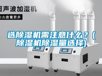 行業新聞選除濕機需注意什么？(除濕機除濕量選擇)