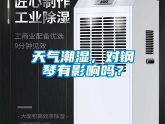 常見問題天氣潮濕，對(duì)鋼琴有影響嗎？