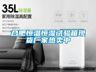 知識(shí)百科合肥恒溫恒濕試驗(yàn)箱現(xiàn)貨廠家熱賣中