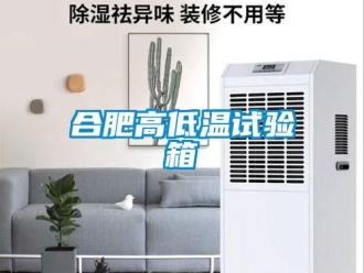 常見問題合肥高低溫試驗箱