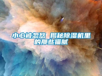 知識(shí)百科小心被忽悠 揭秘除濕機(jī)里的那些貓膩