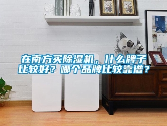 企業(yè)新聞在南方買除濕機，什么牌子比較好？哪個品牌比較靠譜？