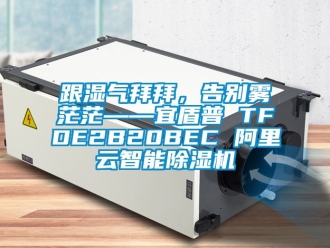 行業新聞跟濕氣拜拜，告別霧茫茫——宜盾普 TFDE2B20BEC 阿里云智能除濕機