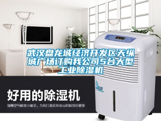 常見問題武漢盤龍城經濟開發區天縱城廣場訂購我公司5臺大型工業除濕機