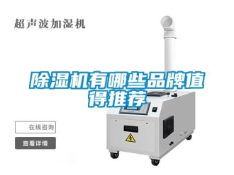 企業(yè)新聞除濕機(jī)有哪些品牌值得推薦