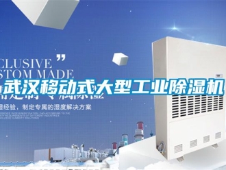 常見問題武漢移動式大型工業除濕機