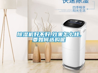 行業(yè)新聞除濕機(jī)好不好,效果怎么樣,要如何選購呢