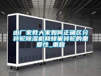 企業新聞由廠家教大家如何正確區分轉輪除濕機和蜂巢轉輪的重要性_重復